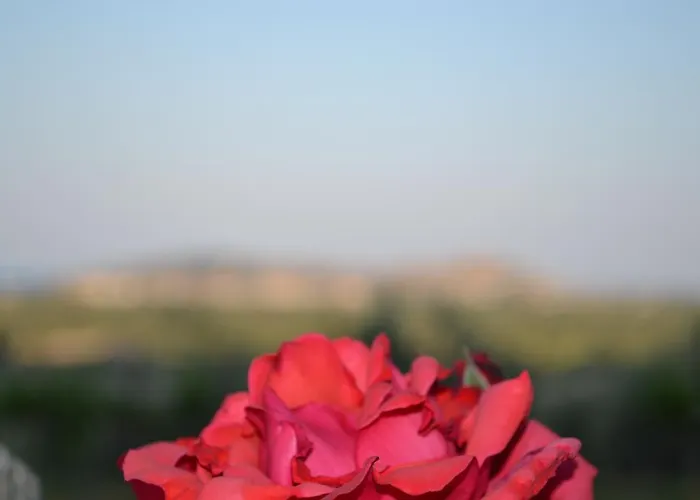 Apartamento Dimitras House