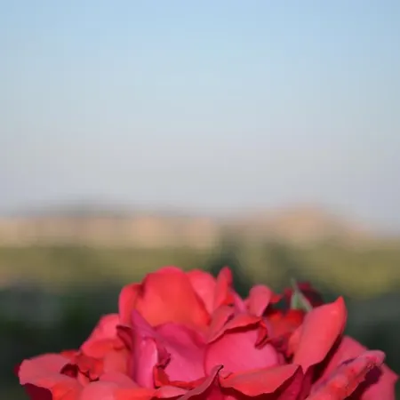 Διαμέρισμα Dimitras House