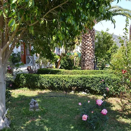 Dimitras House