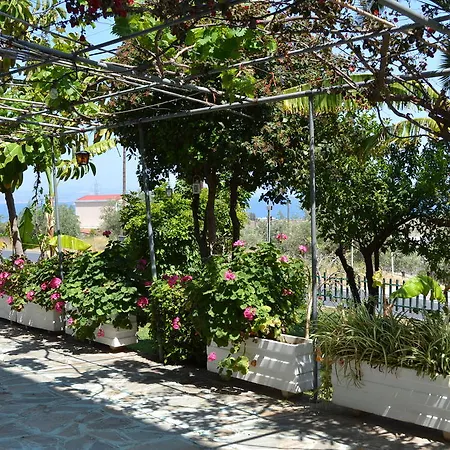 Apartment Dimitras House