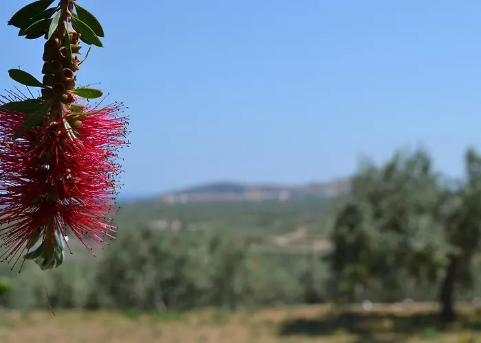 Dimitras House Parálion Ástros